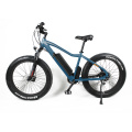 350W dynavolt cougar mtb bike retro electric bike